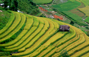 Sapa et trek facile – hébergement à l’hôtel